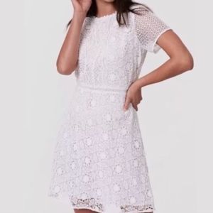 LOFT | Camilla White Eyelet Lace Dress